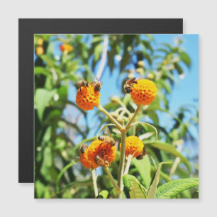 Bebês no trabalho Cartão magnético