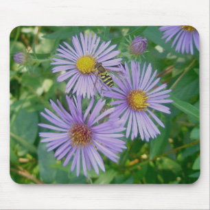 Bebida Mosca e Púrpura Asters Mousepad