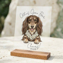 Bebidas de Casamento de Dachshund Tropical Por Min