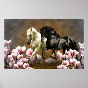 Beco de Magnolia - Poster