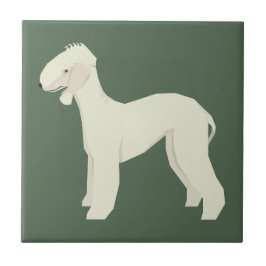 Bedlington Terrier