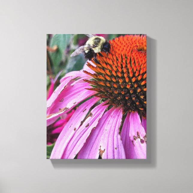 Bee and Coneflower Faux Wrapped Canvas Print (Frente)