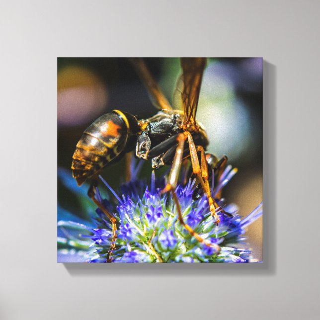 Bee Aware 12" x 12", 1,5", Canvas Simples Enrolado (Frente)