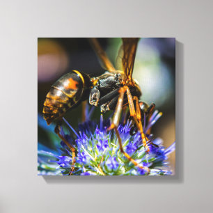 Bee Aware 12" x 12", 1,5", Canvas Simples Enrolado
