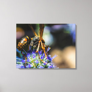 Bee Aware 24" x 18", 1,5", Canvas do Solteiro