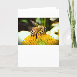 Bee, cartão