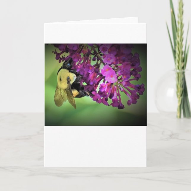 Bee, cartão (Frente)