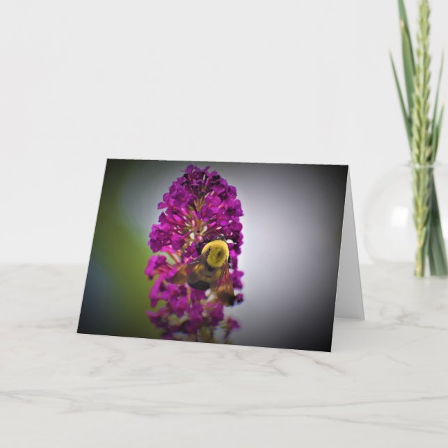 Bee, cartão (Frente)