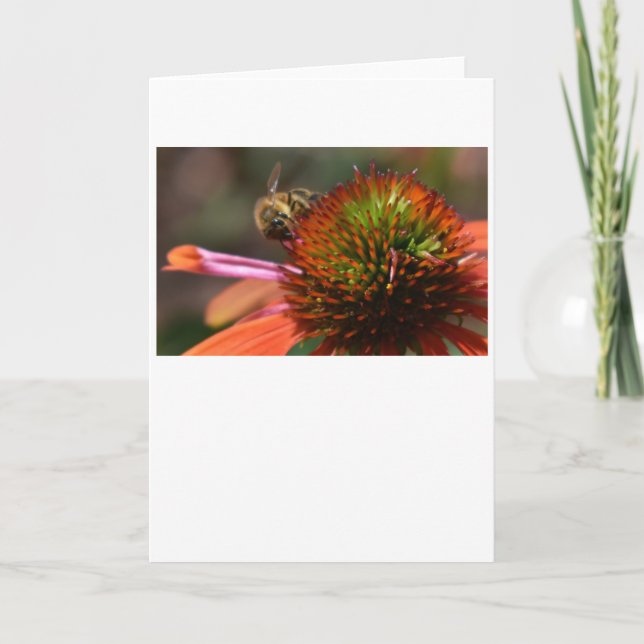 Bee, cartão (Frente)