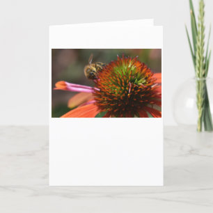 Bee, cartão