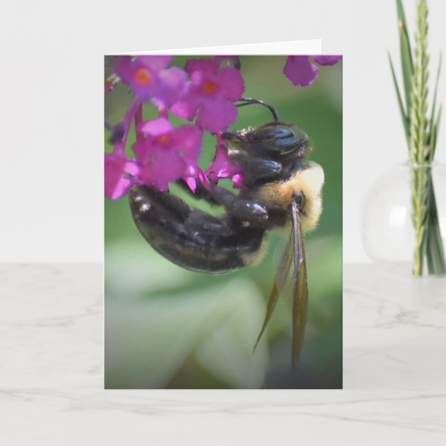 Bee, cartão (Frente)