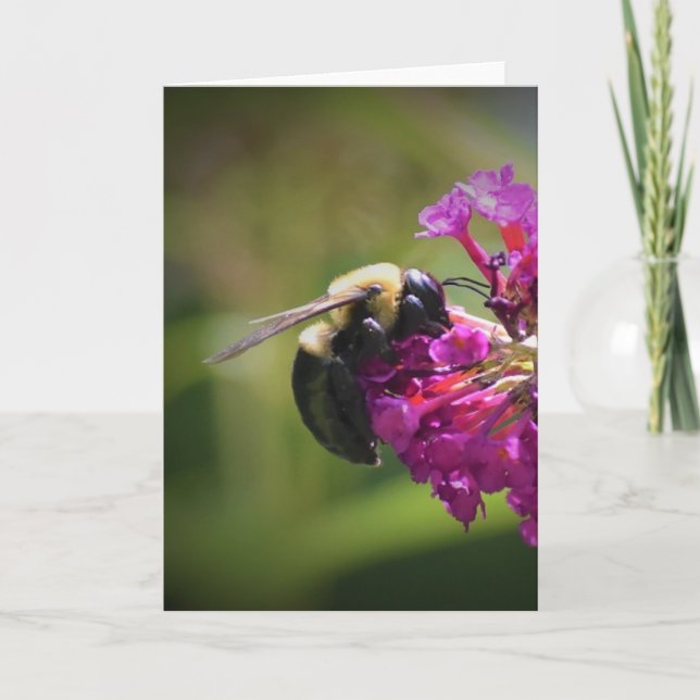 Bee, cartão (Frente)