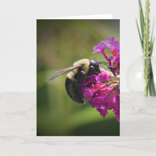 Bee, cartão