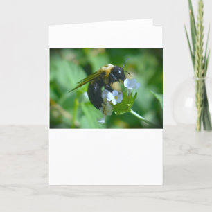 Bee, cartão