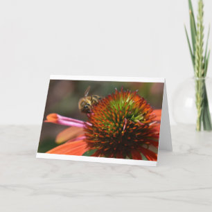 Bee, cartão