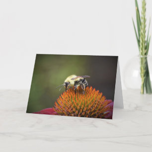 Bee, cartão