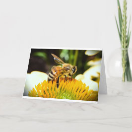 Bee, cartão