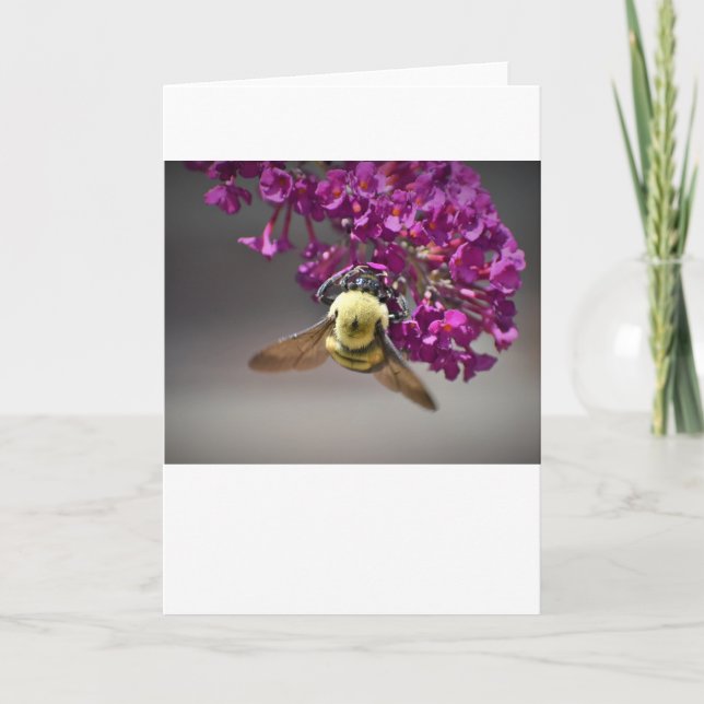 Bee, cartão (Frente)