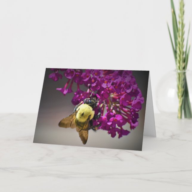 Bee, cartão (Frente)