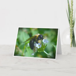 Bee, cartão