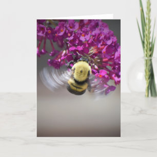 Bee, cartão