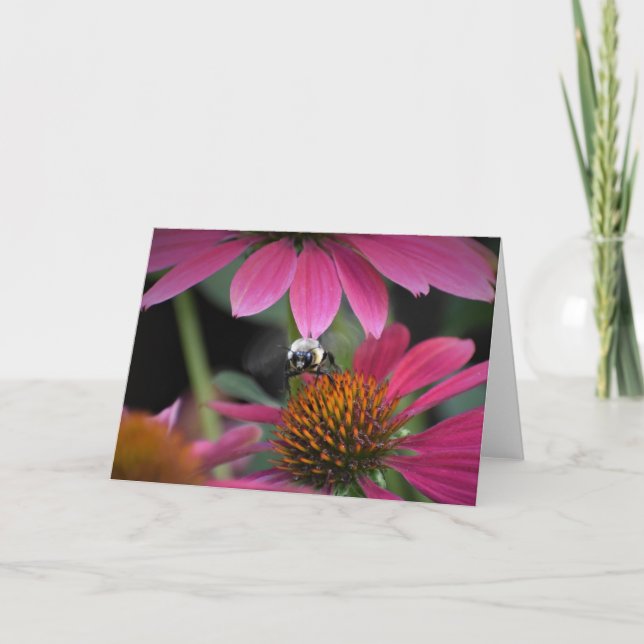 Bee, cartão (Frente)