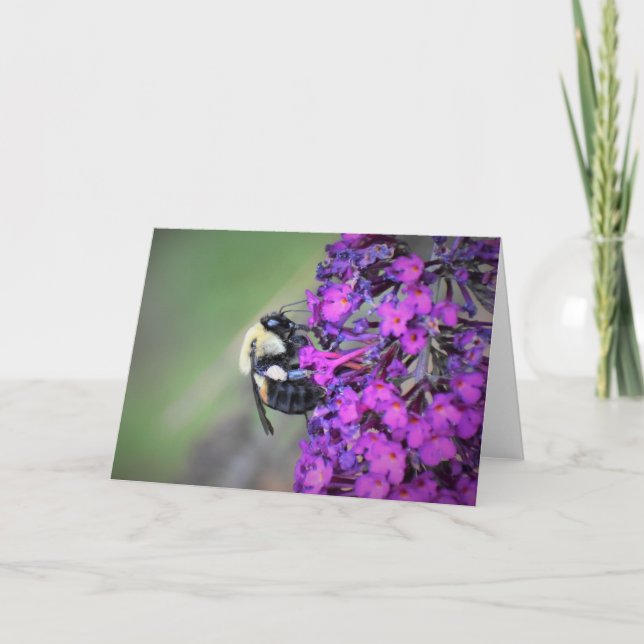 Bee, cartão (Frente)