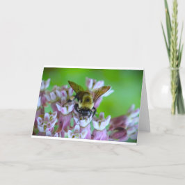 Bee, cartão