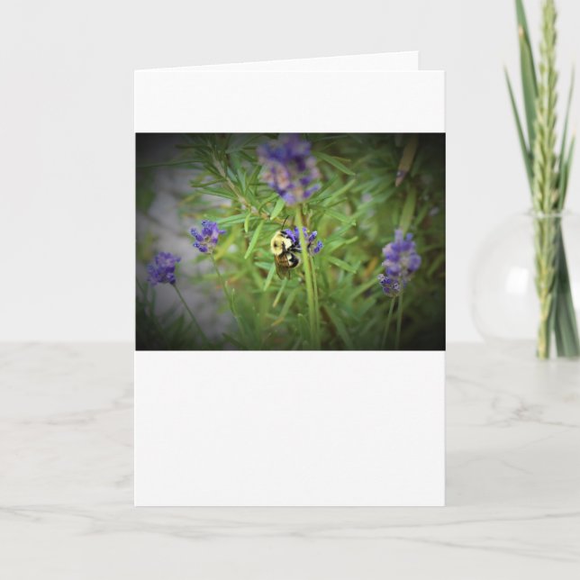 Bee, cartão (Frente)