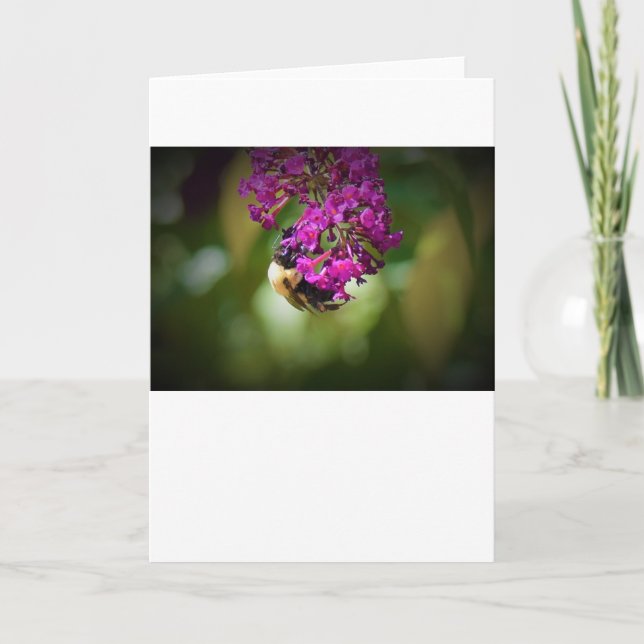 Bee, cartão (Frente)