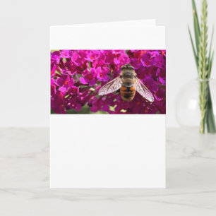 Bee, cartão