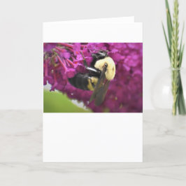 Bee, cartão