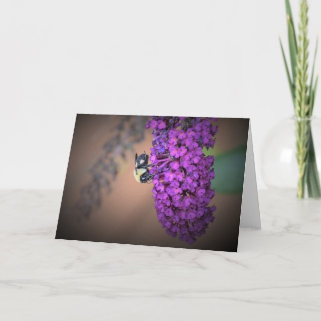 Bee, cartão (Frente)