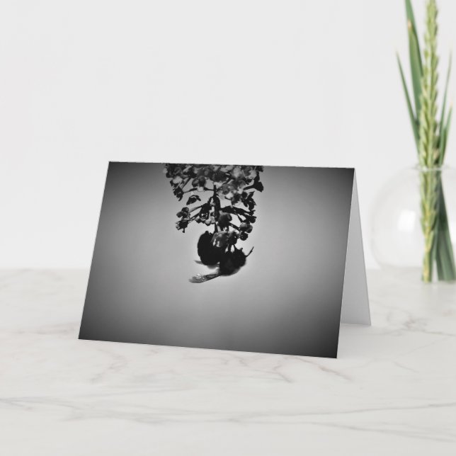 Bee, cartão (Frente)