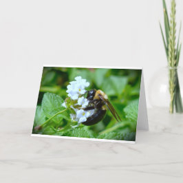 Bee, cartão