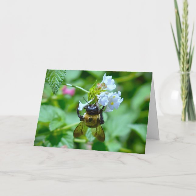 Bee, cartão (Frente)