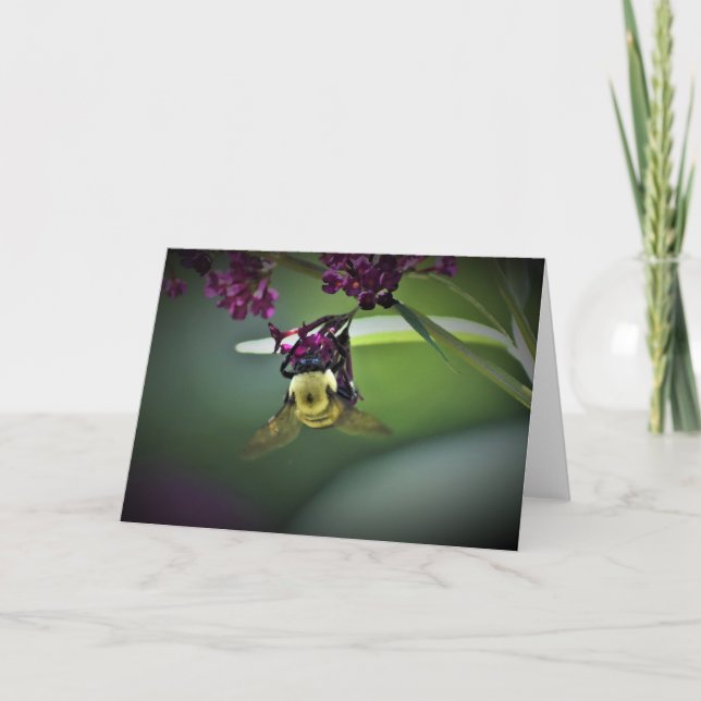 Bee, cartão (Frente)