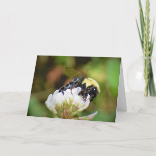 Bee, cartão