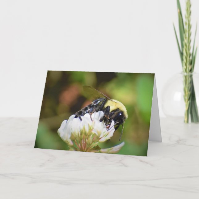 Bee, cartão (Frente)