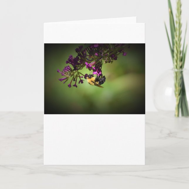 Bee, cartão (Frente)