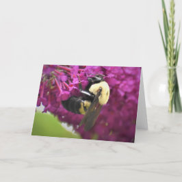 Bee, cartão