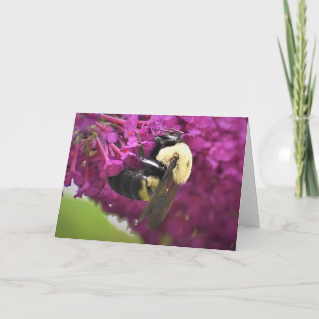 Bee, cartão (Frente)