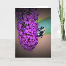 Bee, cartão