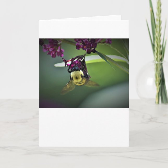 Bee, cartão (Frente)
