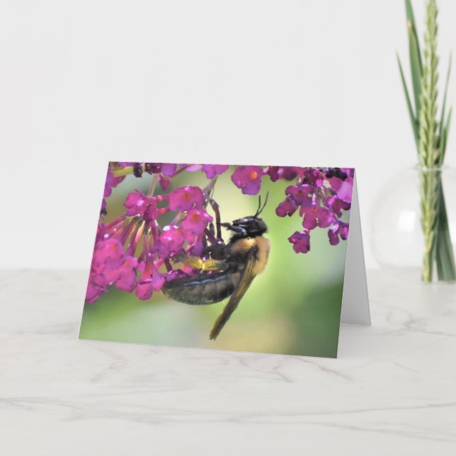 Bee, cartão (Frente)