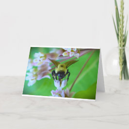 Bee, cartão