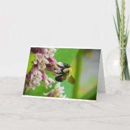 Bee, cartão