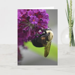 Bee, cartão