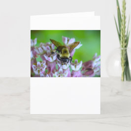 Bee, cartão