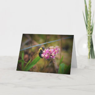 Bee, cartão